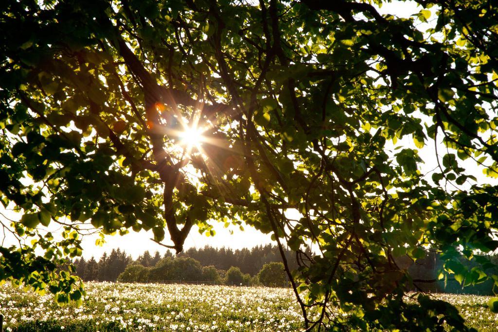 Adami Country Guesthouse Vainupea Buitenkant foto