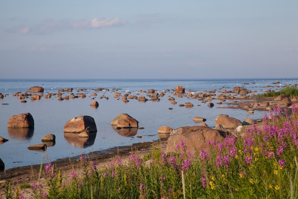 Adami Country Guesthouse Vainupea Buitenkant foto