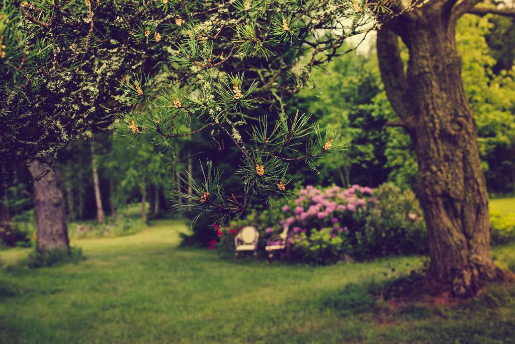 Adami Country Guesthouse Vainupea Buitenkant foto