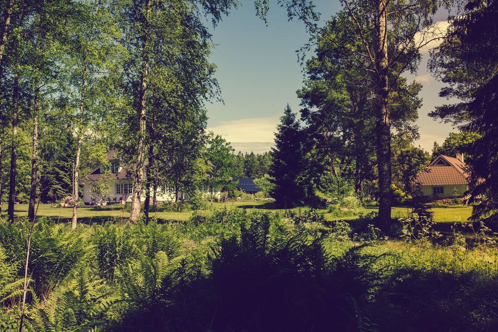 Adami Country Guesthouse Vainupea Buitenkant foto