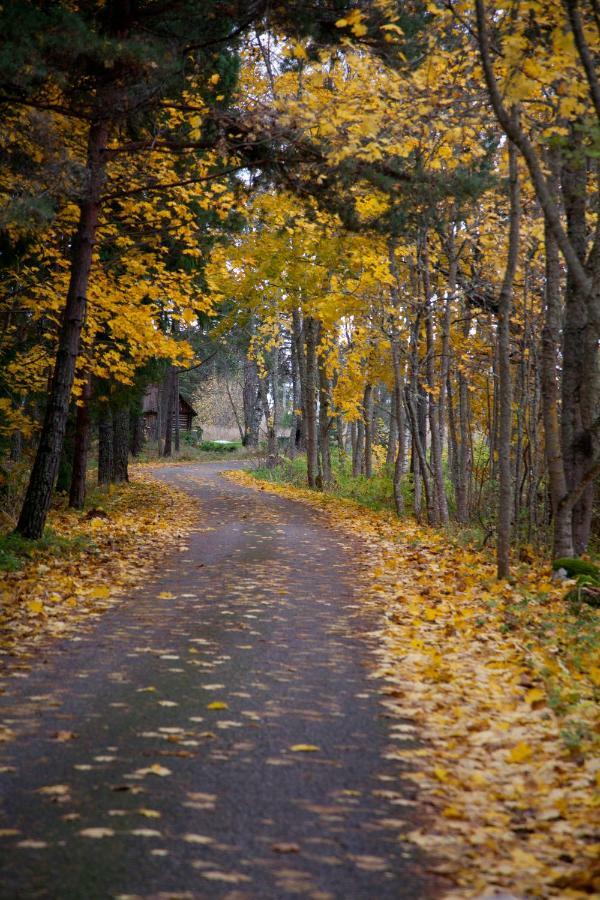 Adami Country Guesthouse Vainupea Buitenkant foto