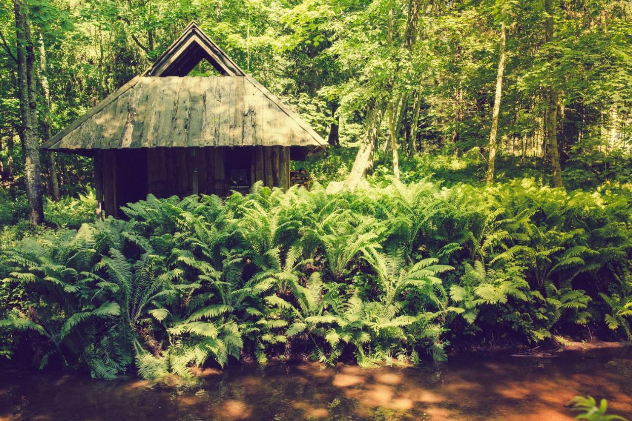 Adami Country Guesthouse Vainupea Buitenkant foto