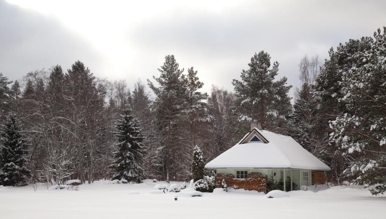 Adami Country Guesthouse Vainupea Buitenkant foto
